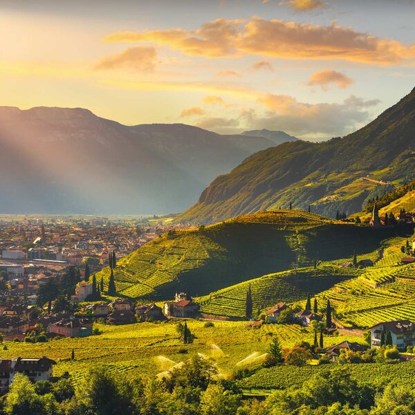 Vineyards View In Santa Maddalena Bolzano