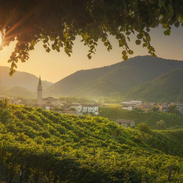Prosecco Hills Vineyards And Guia Village At Dawn Unesco Site