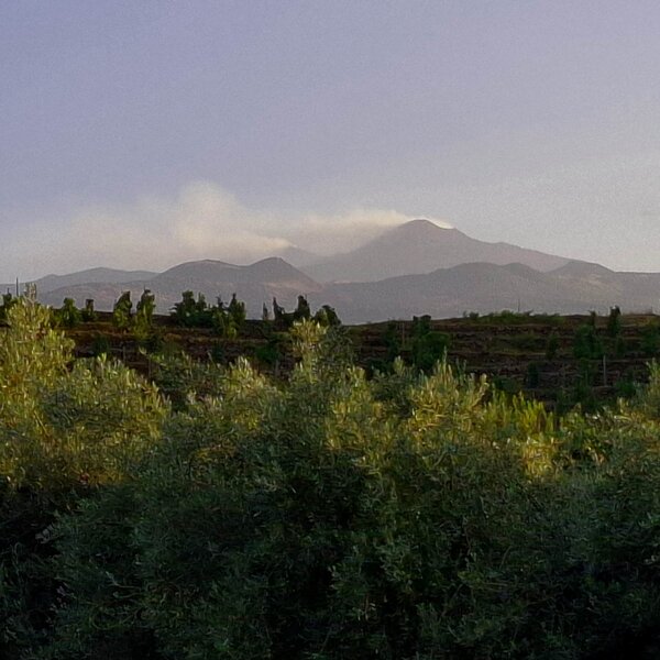 Etna And Wineyards Of Firriato Castiglione Di Sicilia