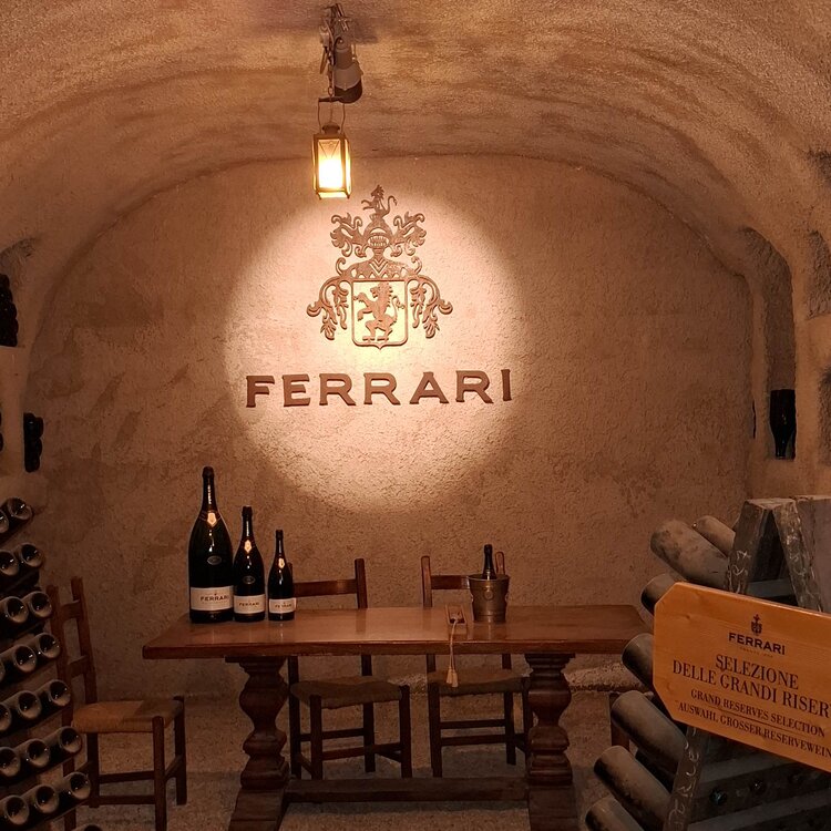 Cantina Ferrari - An Italian Wine Story