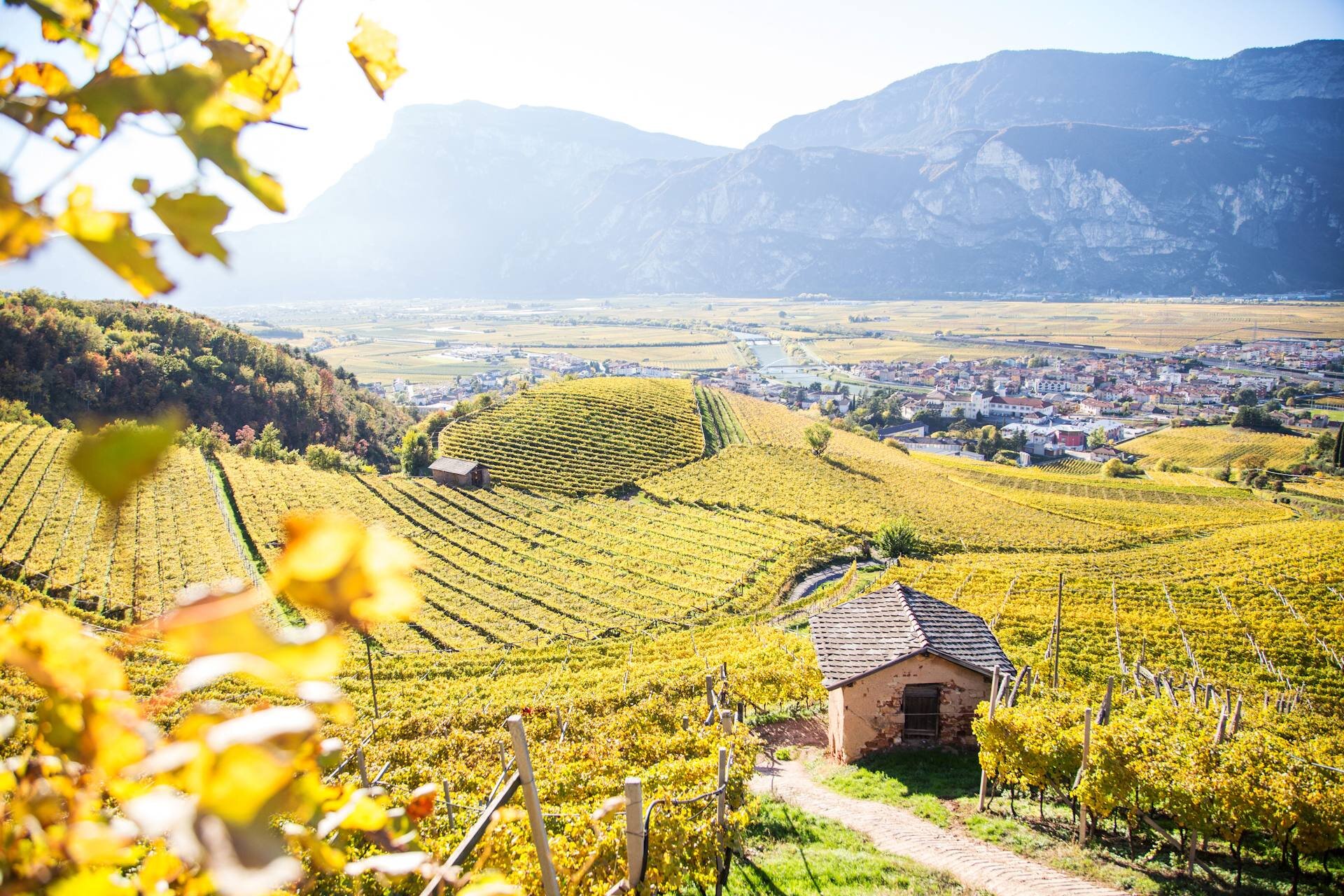 Autumn Vibes Of Trentino – South Tyrol