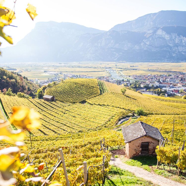 Autumn vibes of Trentino-South Tyrol