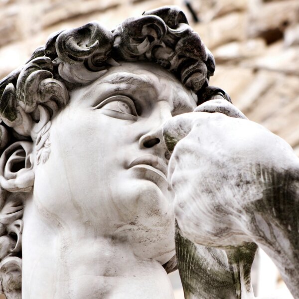 David Michelangelo Florence Viaggiare Bene